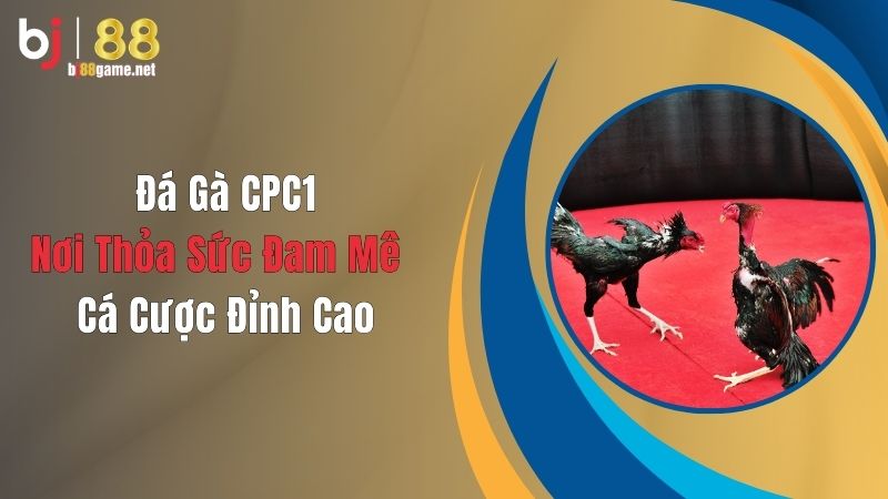Đá gà CPC1