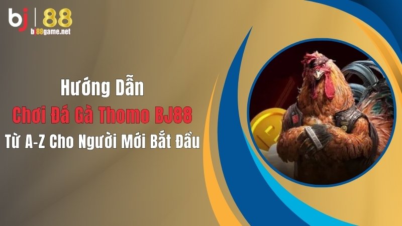 đá gà Thomo