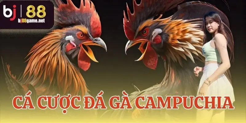 Cá cược đá gà Campuchia