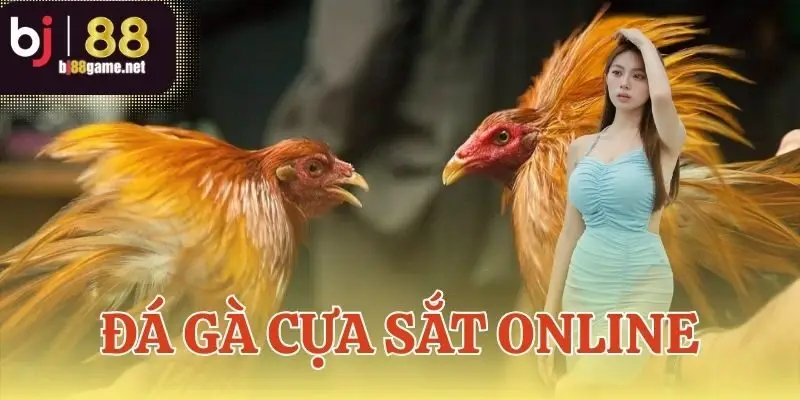 Đá gà cựa sắt online